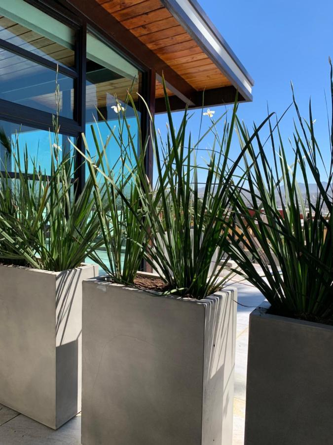 El Refugio Lägenhet Ensenada Exteriör bild